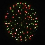 100_Multicolor Pastel Peony.jpg